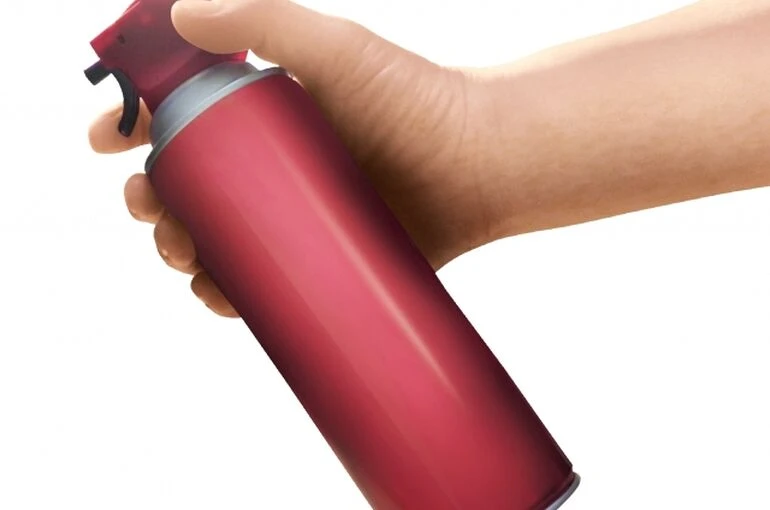 害虫駆除で使用する薬剤、プロ用と市販での違いとは？